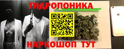 шишки Кунгур