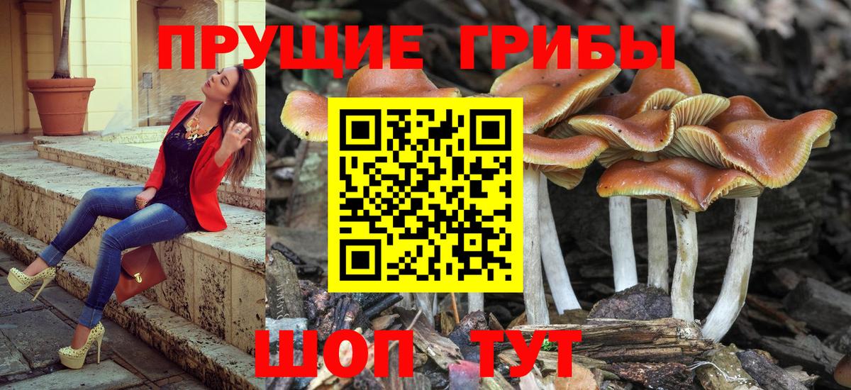 Вязники  Псилоцибиновые грибы Magic Shrooms  Вход с VPN 